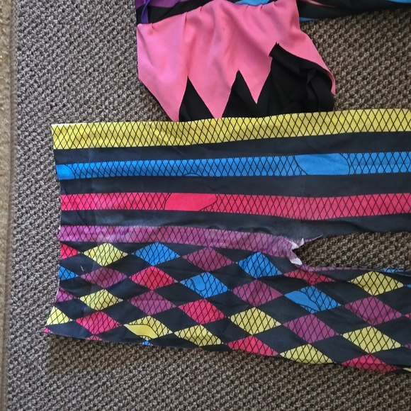 Harley Quinn Costume - Picture 7 of 10